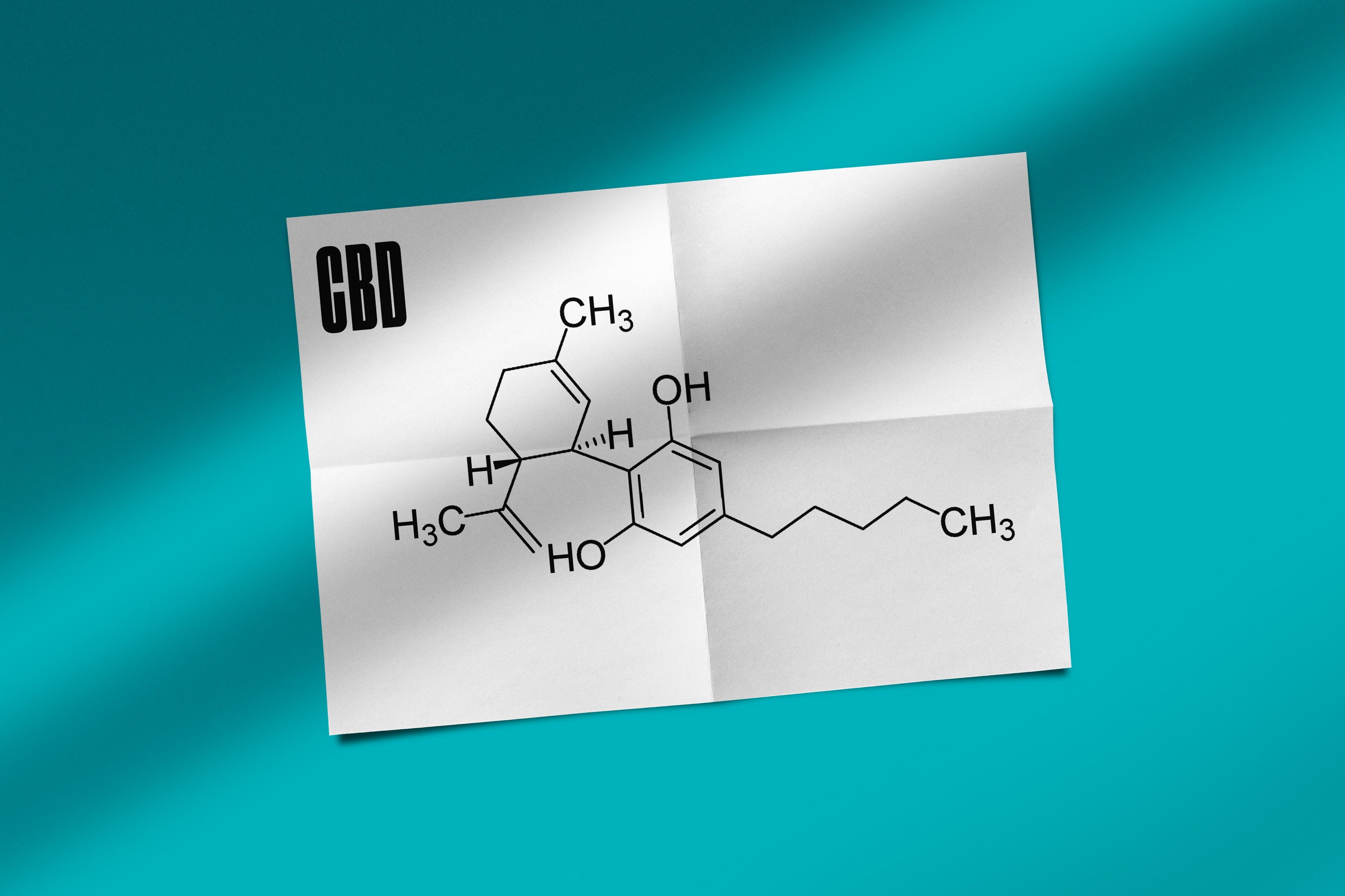 CBD - The Nurturing Cannabis Ingredient